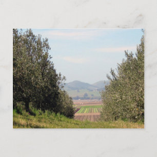 Carte Postale Overlooking San Juan Valley