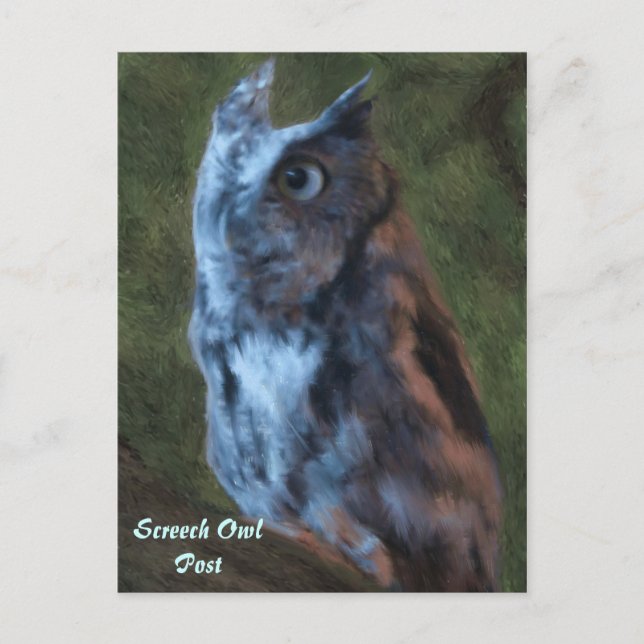 Carte postale Owl (Devant)