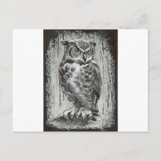 Carte Postale Owl