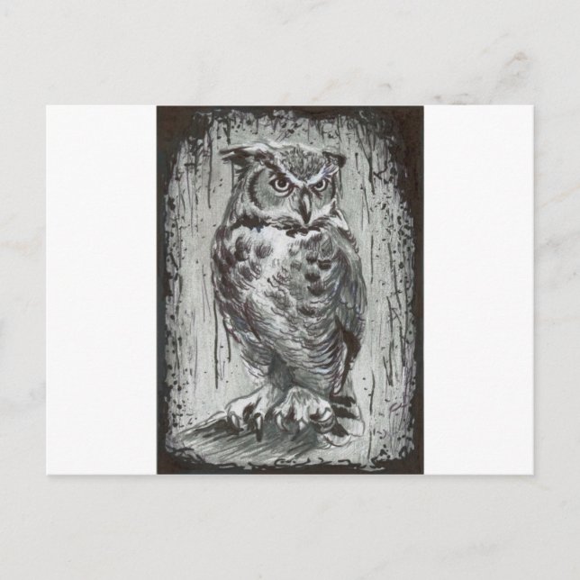 Carte Postale Owl (Devant)