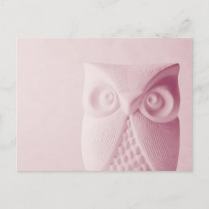 Carte postale Owl
