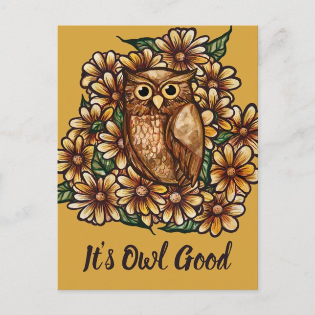 Carte Postale Owl daisies                                        (Devant)