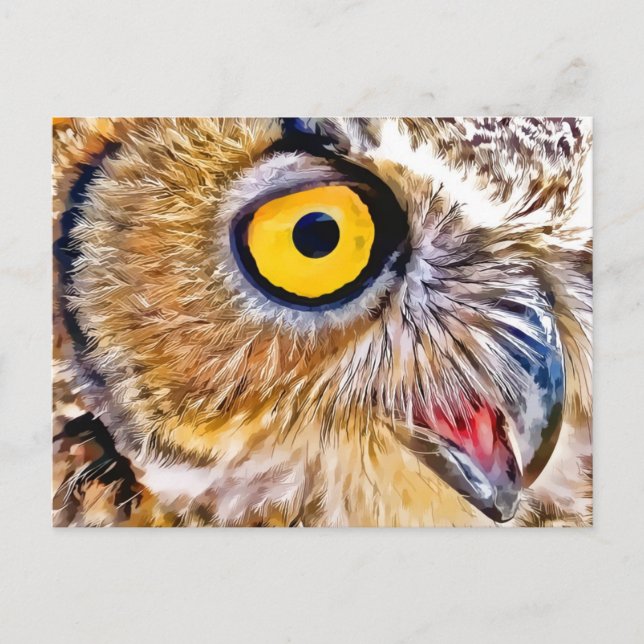 Carte Postale Owl Eye (Devant)