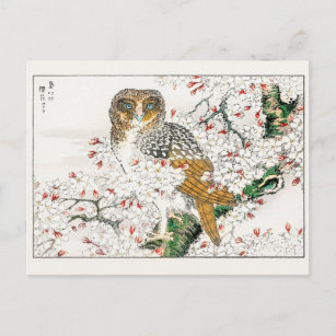 CARTE POSTALE OWL IN TREE ANTIQUE ART ORIENTAL DE NUMATA KASHU