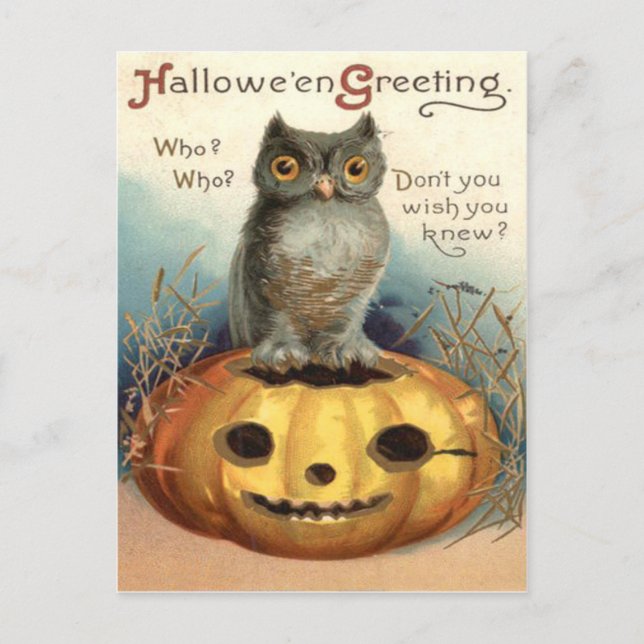 Carte Postale Owl Jack O Lantern (Devant)