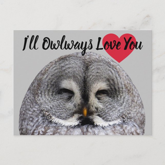 Carte Postale Owl Love Valentine (Devant)