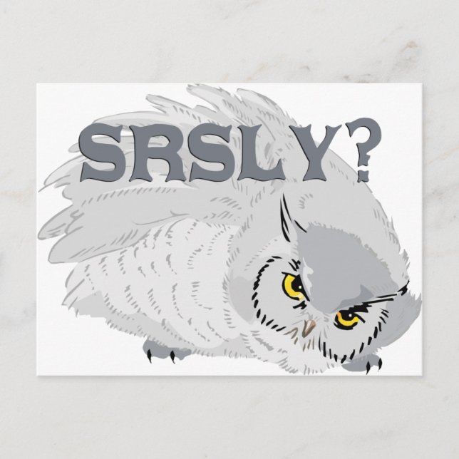 Carte Postale Owl SRSLY ? (Devant)