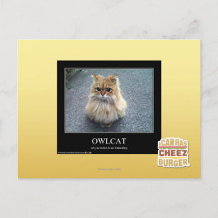 Carte Postale Owlcat