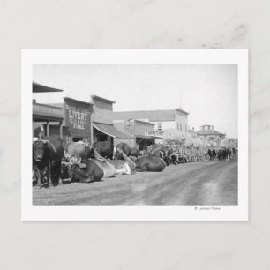 Carte Postale Ox Teams le long de Main Street of Sturgis Photogr