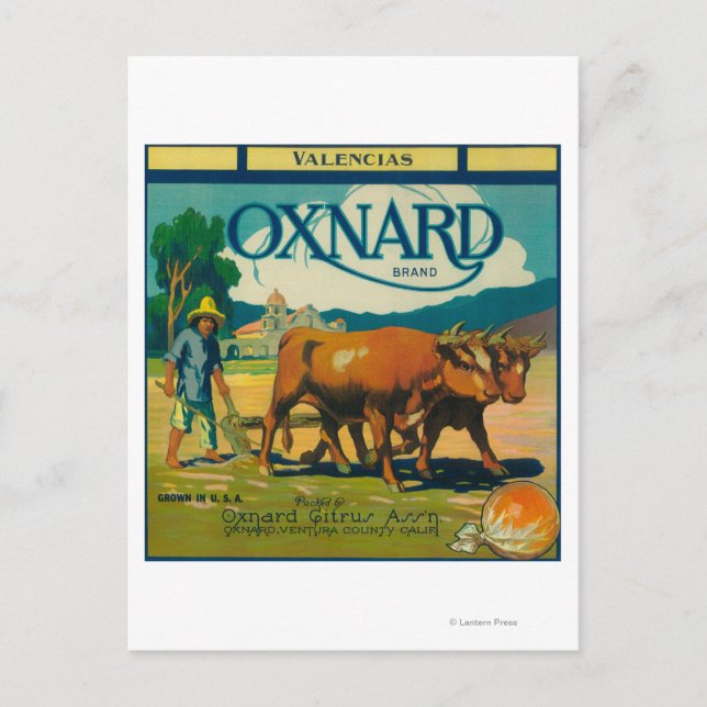 Carte Postale Oxnard Orange LabelOxnard, CA (Devant)