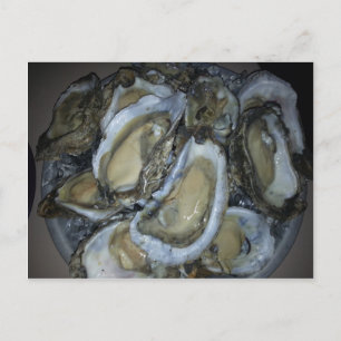 Carte Postale Oysters de la côte du Golfe
