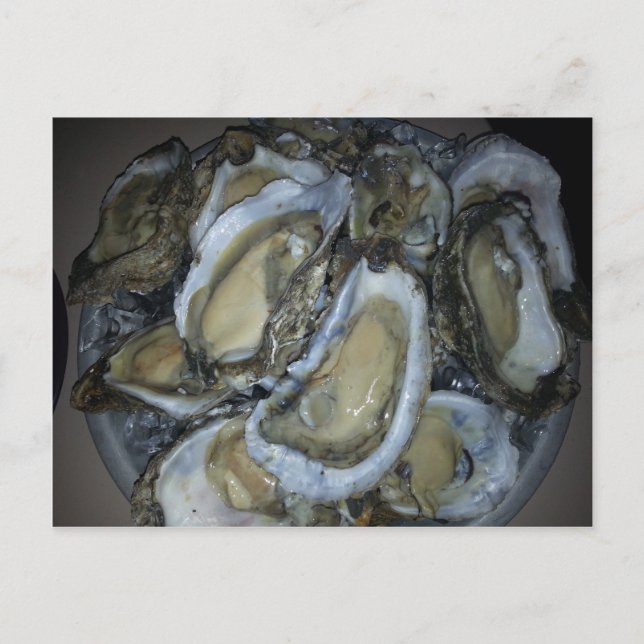 Carte Postale Oysters de la côte du Golfe (Devant)