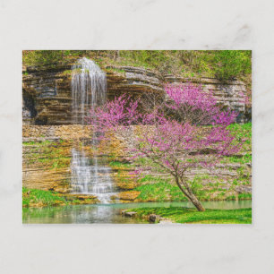 Carte Postale Ozarks Waterfall Spring Bluff