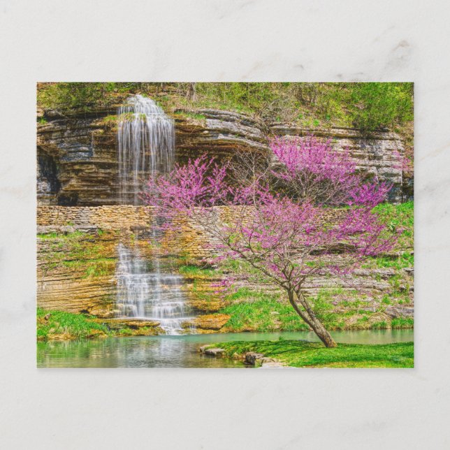 Carte Postale Ozarks Waterfall Spring Bluff (Devant)