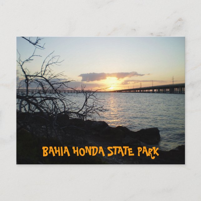 CARTE POSTALE P3060038, BAHIA HONDA STATE PARK (Devant)