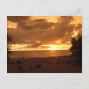CARTE POSTALE P8190544