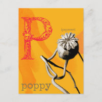 P est pour Poppy