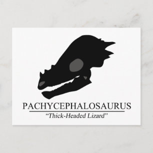 Carte Postale Pachycéphalosaure