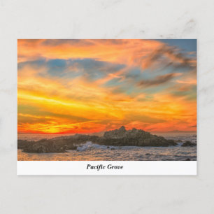 Carte postale Pacific Grove