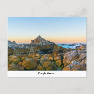 Carte postale Pacific Grove