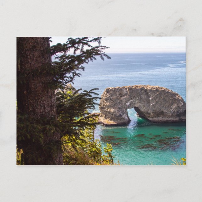 Carte postale Pacific Northwest Landcape (Devant)