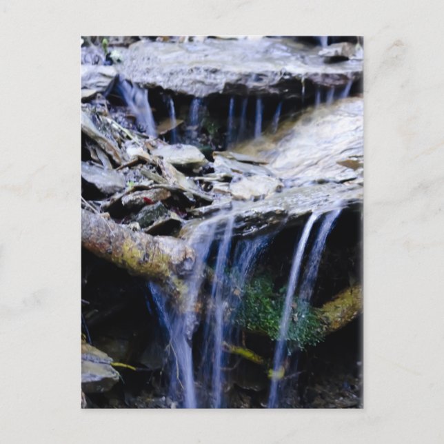 Carte Postale Pacifique (Devant)