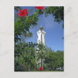 Carte Postale Pacifique Sud, Polynésie française, Tahiti. Hibisc