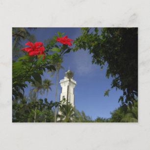 Carte Postale Pacifique Sud, Polynésie française, Tahiti. Hibisc