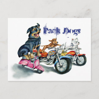 Carte Postale Pack Chiens