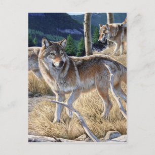 Carte Postale Pack de loups dans la peinture forestière