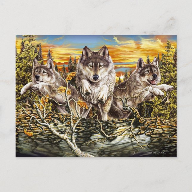 Carte Postale Pack de loups sautant au-dessus d'un bûcher (Devant)