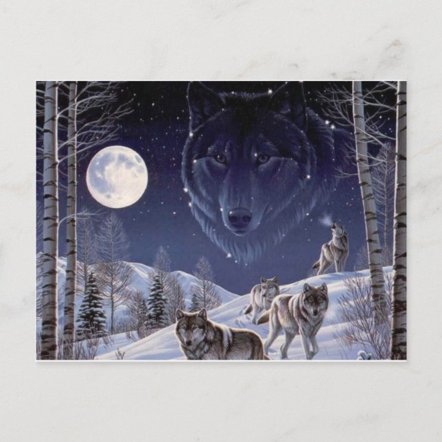 Carte Postale Pack Wolf (Devant)