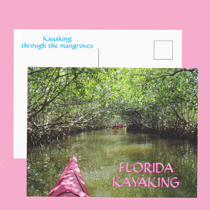 Carte Postale Pagaie à travers les mangroves, aventure en Florid