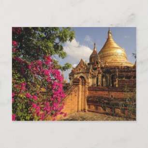 Carte Postale Pagode Dhamma Yazaka à Bagan (Pagan), Myanmar