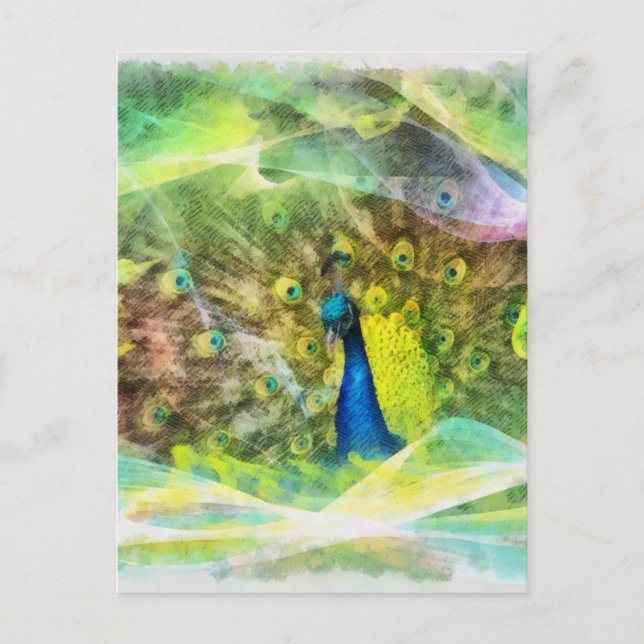 Carte Postale Paiement numérique de Peacock (Devant)