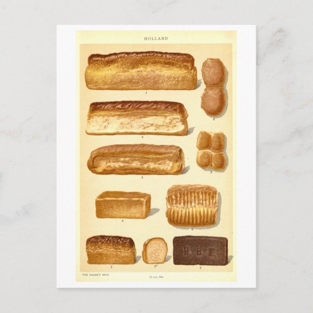 Carte Postale Pains anciens de Hollande (Devant)