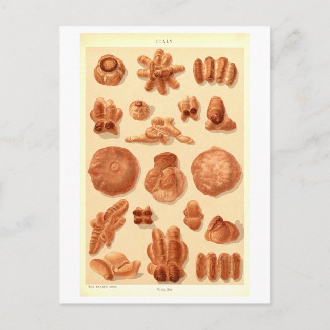Carte Postale Pains anciens d'Italie (Devant)