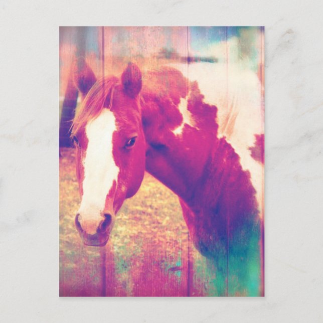 Carte Postale Paint Horse Grunge (Devant)