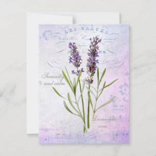 Carte Postale Painted Lavandula Vera Serenity et Calm