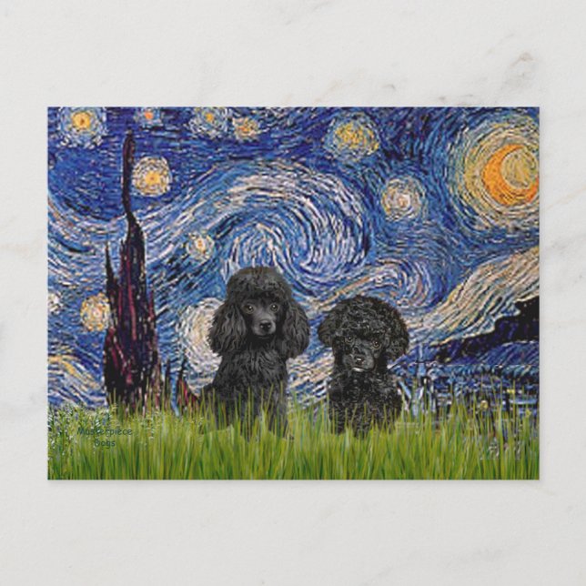 Carte Postale Paire de caniche (noir) - Nuit étoilée (Devant)