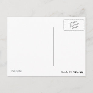 Carte Postale Paire de chiens métalliques