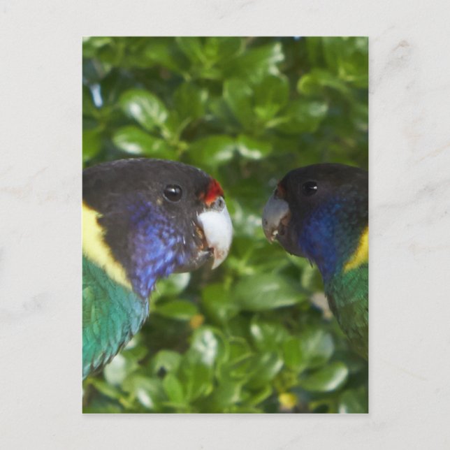 Carte Postale Paire des 28 de Cocy (Devant)