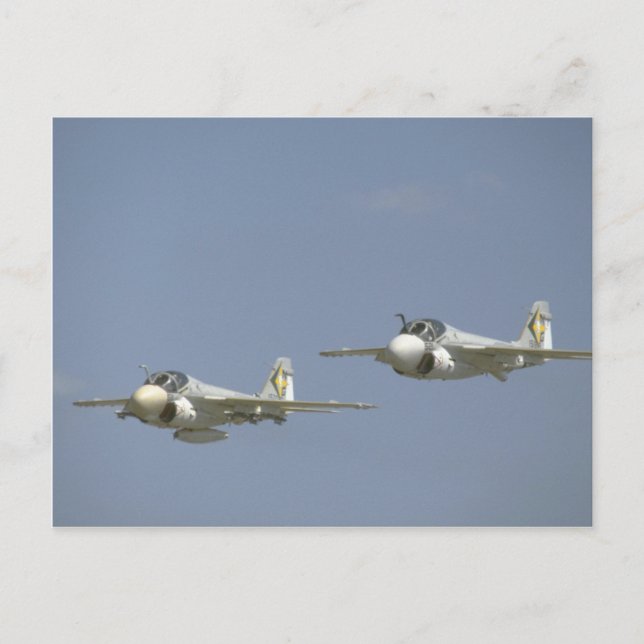 Carte Postale Paire D'Intrus A-6 (Devant)