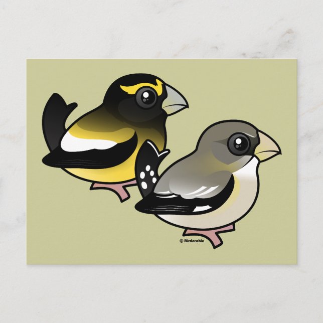Carte Postale Paire Grosbeak du soir (Devant)