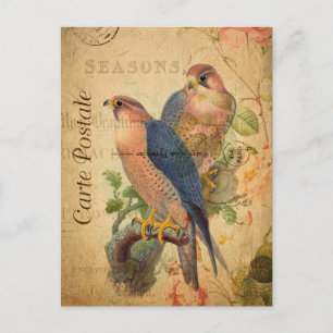 Carte Postale Paire vintage de faucons pèlerins Oiseaux Français