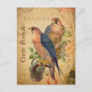 Carte Postale Paire vintage de faucons pèlerins Oiseaux Français