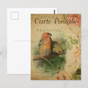 Carte Postale Paire vintage d'oiseaux