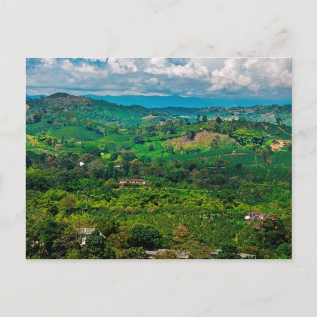 Carte Postale Paisaje del café (Devant)