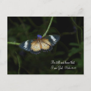 Carte postale paisible