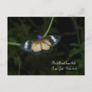 Carte postale paisible